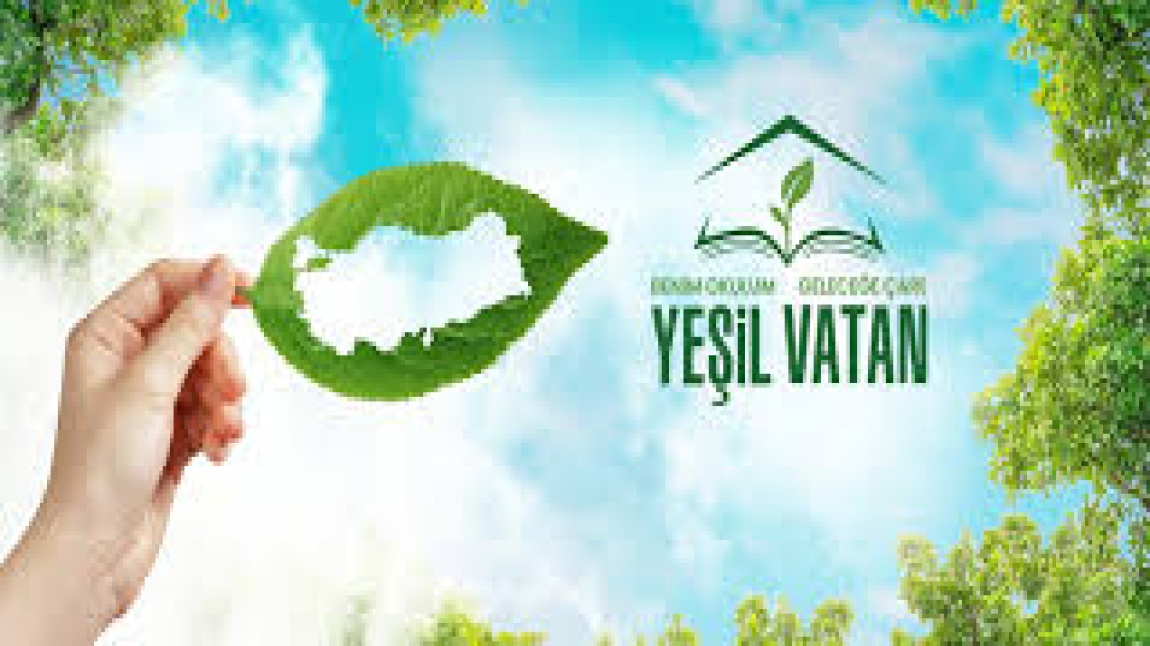 Yeşil Vatan: Benim Okulum Geleceğe Çare